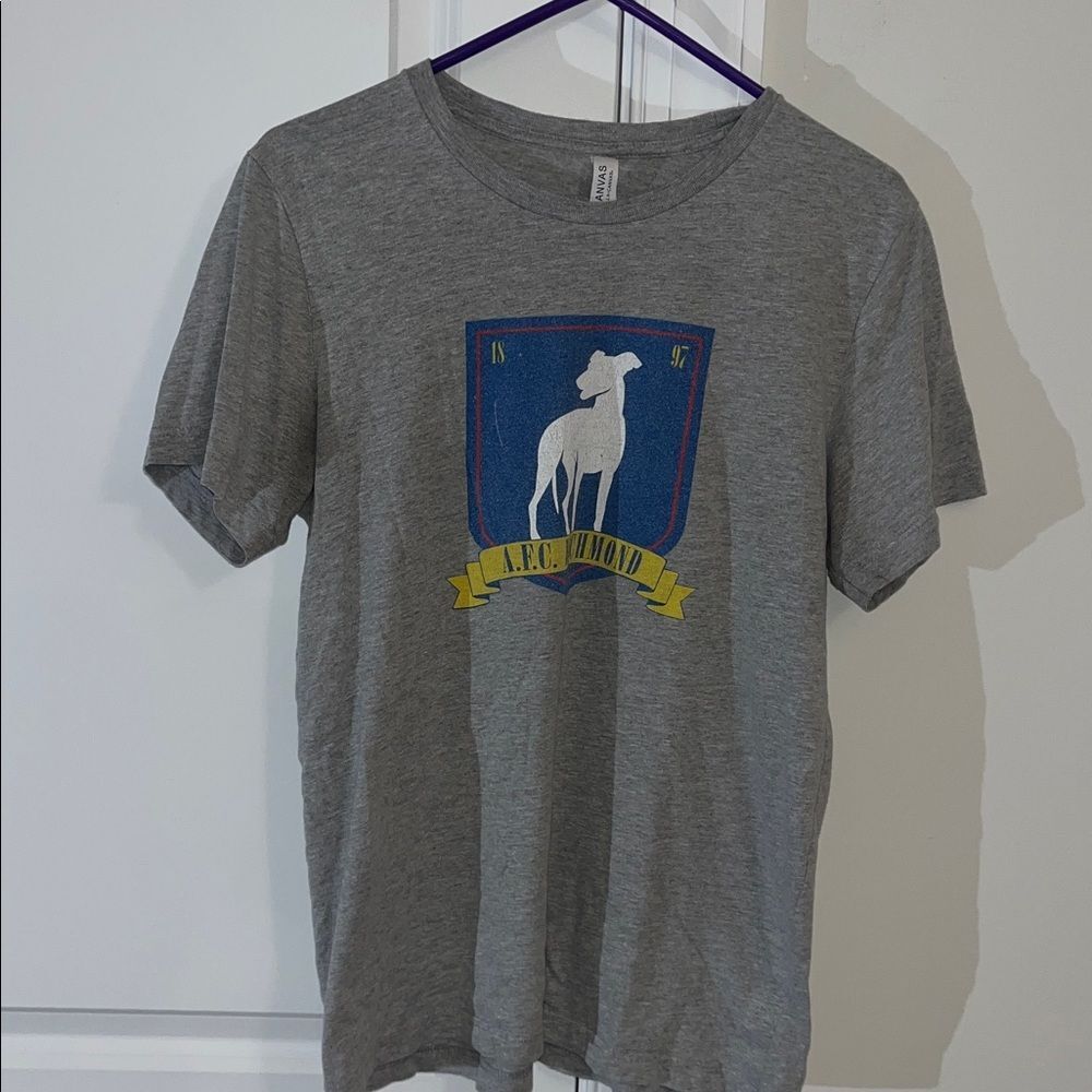 Gray Ted Lasso AFC Richmond England Crest Soccer Team Worn t shirt M Mens